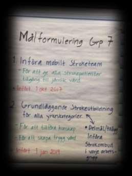 Målformuleringar och vad vi