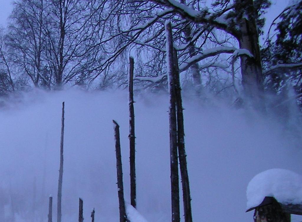 älvdal.