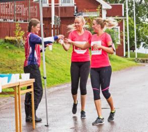 hand. Tre skickliga slåttermän var där under några dagar och slog den med sina liar.