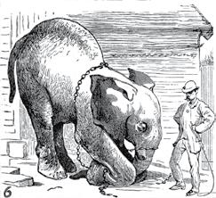 Efter all sannolikhet Jumbos sista