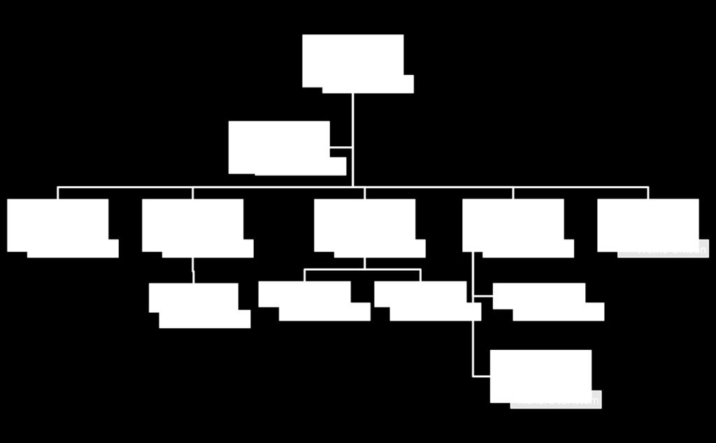 Organisationsschema för