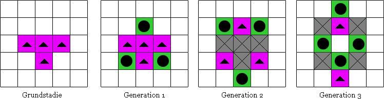 En cirkel inuti cellen betyder att cellen kommer födas i nästa generation, ett kryss betyder att cellen kommer dö (tas bort) nästa generation och