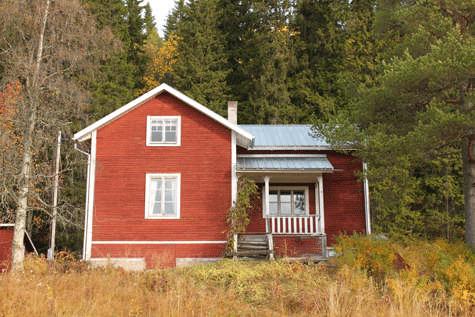 Fjällglim