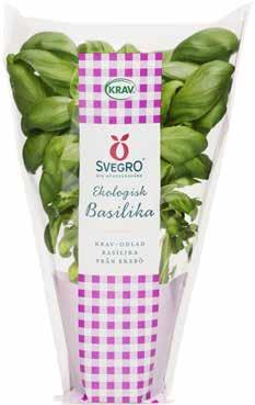 över, servera med riven västerbottenost