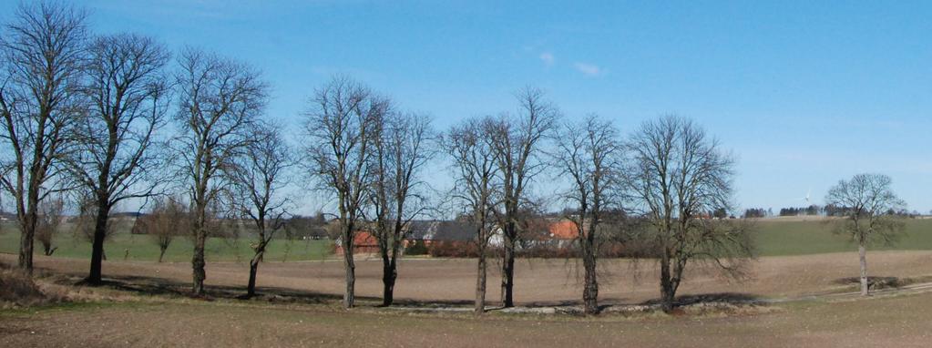Skola Möjliggör en utveckling av Alstad som innebär att befintlig skolverksamhet kan fortleva. Skolan är avgörande för Alstads attraktivitet.