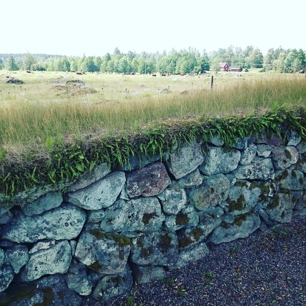 Unika miljöer Ökad fokus på biologisk mångfald Gröna infrastrukturer En fråga med koppling
