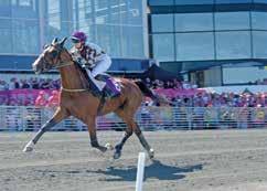 e Daguet Rapide - : 0--,a 0 : --,a 09 Tot: -- Liss Coktail e Coktail Jet Ee K J / - / 0 0,9 a c c 0 Uppf: Stutteri & Kennel Peak I/S, Danmark Ee V Ch / - 000, a - - - Äg: Hartmann Mosegaard Louise,