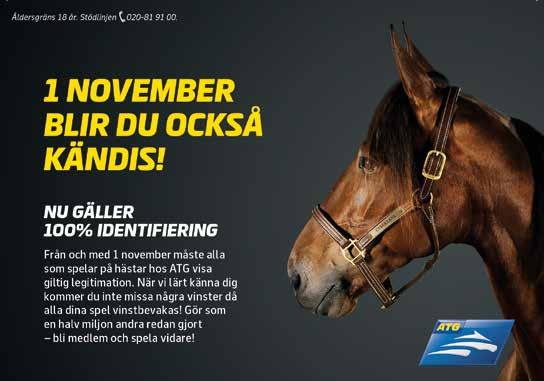 sts ägare. Hederstäcke till segrande hä