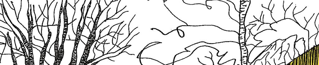 VY 7