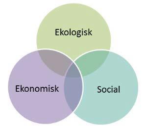 Bakgrund och syfte Folkhälsoprogrammet har sin utgångspunkt från ett socialt hållbart perspektiv samt med intentioner att minska skillnader i ohälsa.