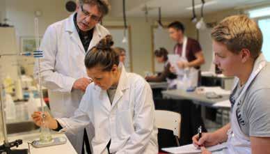 gymnasial nivå (yrkesvux) särskild utbildning för vuxna (särvux) antagning, vägledning och validering yrkeshögskoleutbildningar (YH) universitets- och