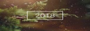 Årets julblomma till bröder som är 80 år och äldre är nu utdelad och mottagarna sände med ett tack och en hälsning till logen.