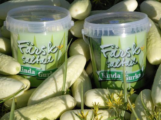 Motiveringen lyder: För att med sin varierande meny, ofta baserad på närproducerade och ekologiska råvaror, erbjuda mat