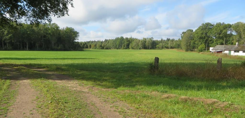 Här i södra delen av byn finns spår efter en