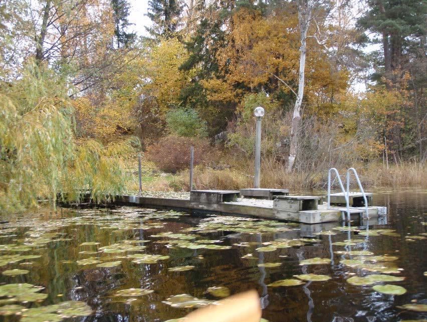 Viva vatten lokal vattenmiljö Viva vatten ett projekt som fokuserar