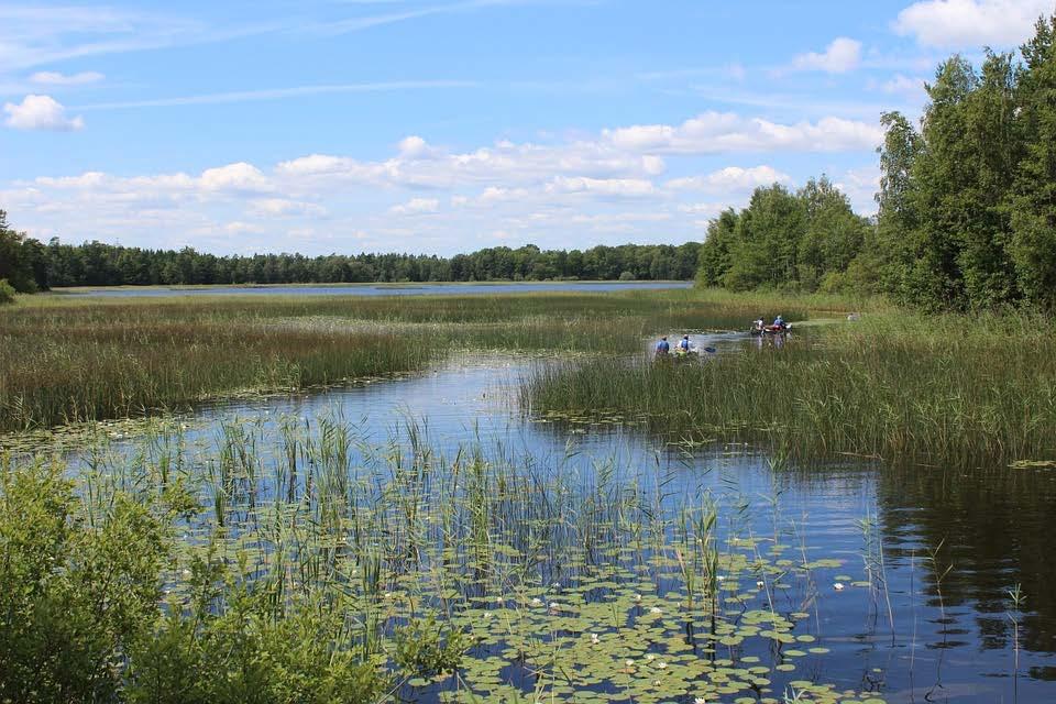 Åtgärder för att förbättra den lokala vattenmiljön Vi vill: Öka det lokala