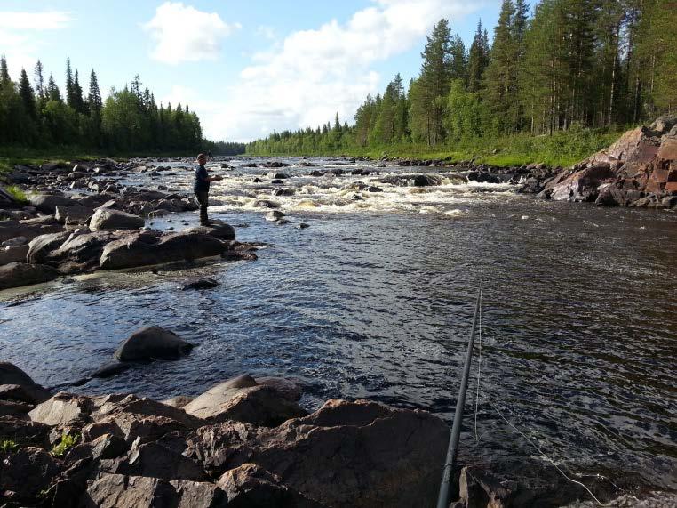 Gå med i/starta ett vattenråd Vattenråd samverkan mellan olika