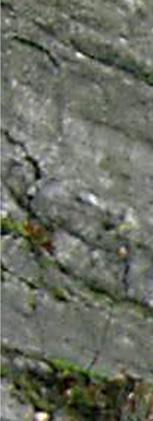 nsvägg i