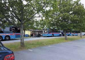 Lördag 29/7 arrangerade Hyresgästföreningen och Föreningen Trädet