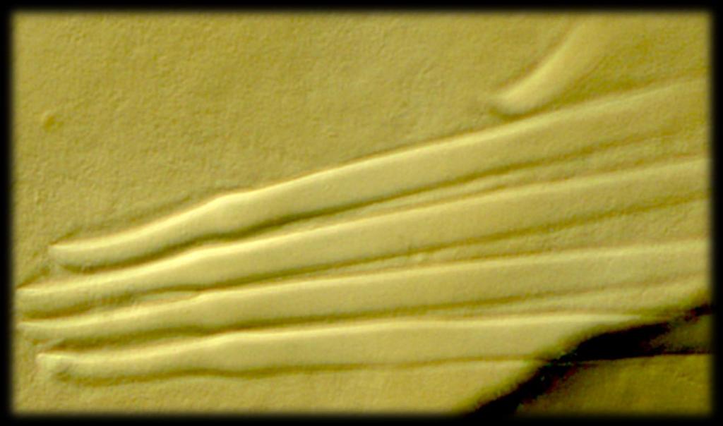 en digital