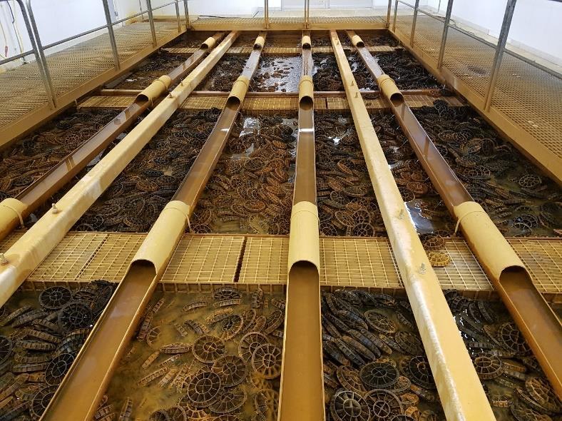 Boden dricksvattenanläggning Förbehandlingsanläggning: Råvattenbrunnar biofilter mikrosil bassänginfiltration