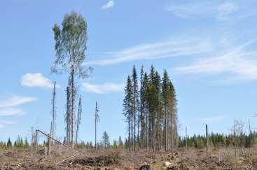 Heurekasystemet Förvaltning och vidareutveckling: Enheten för Skogliga Hållbarhetsanalyser, SHa vid SLU ansvarar Tolv parter; myndigheter, företag och