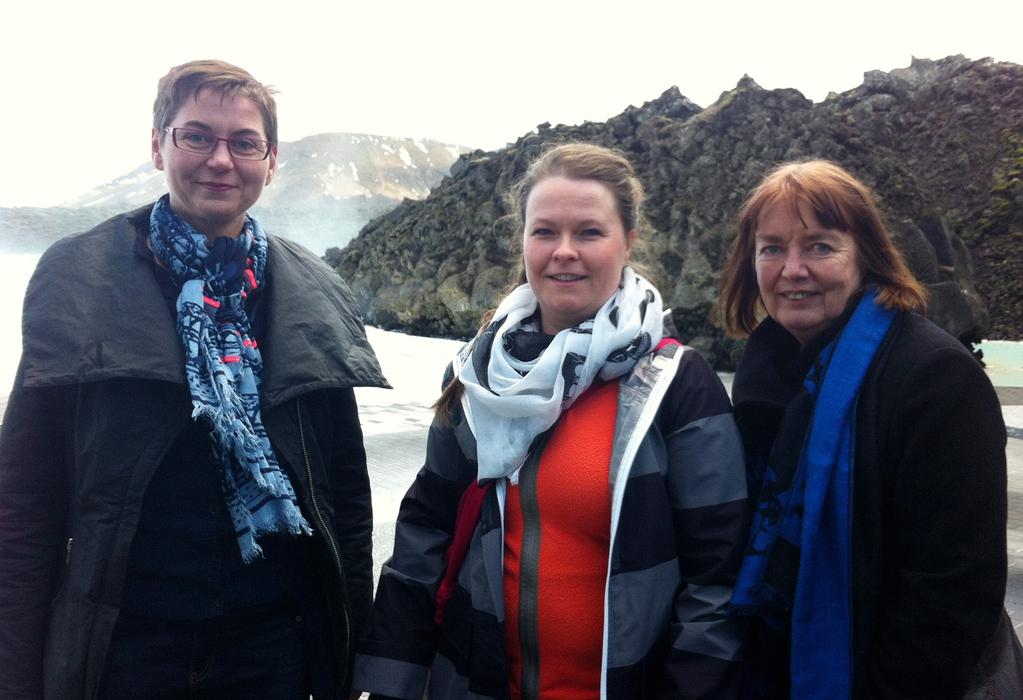 2014 Island ordförandeland 2014 var Island ordförandeland och arbetsutskottet bestod av ordförande Rún Knútsdóttir, Island, vice ordförande Inge Storgaard Bonfils, Danmark, och