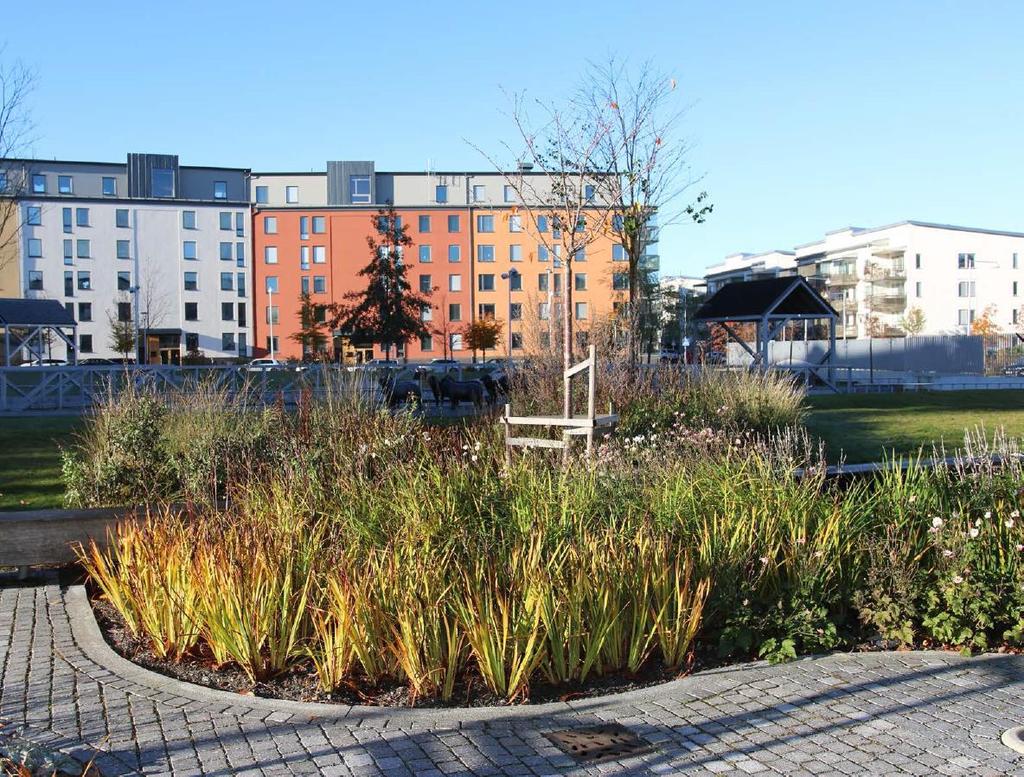 Figur 15. Exempel på nedsänkt växtbädd. Källa: Solna stad dagvattenstrategi, 20