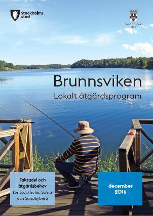 Innehåll Varför behöver kommunen en handlingsplan och lokala åtgärdsprogram?