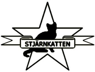 utställningar inom nordiska