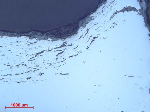 Foto från mikroskopet, skala i nedre kanten. Oetsat prov. Figur 19b. Hästskosöm C.53920/4 (Knr 602457). Samma område som i föregående figur.