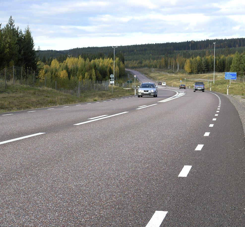 Vägens anpassning till omgivningen samt trafikanternas möjlighet