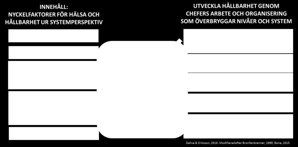 Innehållet kan delas in i ett handlingsperspektiv och i perspektiv som bygger på kunskap om risk- och resursfaktorer (se figur 3 ovan).