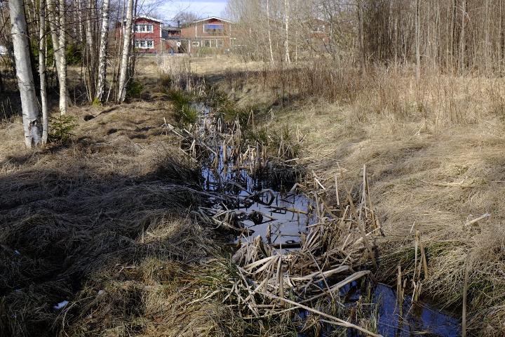 Foto över bäck med vegetation. 6 Referenser: Artdatabanken 2015. Rödlistade arter i Sverige 2015. Artdatabanken SLU, Uppsala 