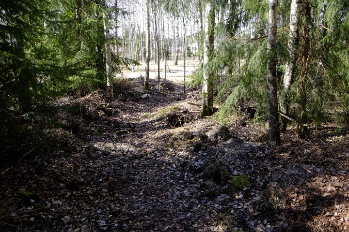 4.3 Delområde C Delområde C är en förlängning av delområde B men består mer av tät lövsly och barrvegetation och i väster av igenväxningsmark.