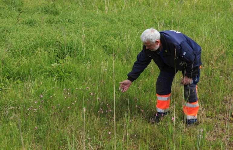 Varför biologisk mångfald?