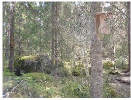 ÖPPET HUS PÅ TUMMEN ÔPP Foto & bildtext: Thomas Dolk Måndag den 6 maj var åter en milstolpe i BDFs korta historia.