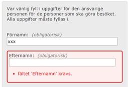 Webbutveckling Sida 12 / Felmeddelanden på Migrationsverkets webbplats har en tydlig markering runt varje felaktigt eller ofullständigt ifyllt fält och en text som beskriver felet.