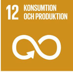 De 17 Globala målen för hållbar utveckling framtagna av FN visar riktlinjerna i ett arbete med hållbart byggande samt inom vård- och omsorg.