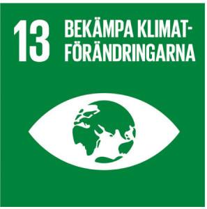 Säkerställ att alla kan leva ett hälsosamt liv och verka för alla människors välbefinnande i alla åldrar.