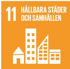 Social hållbarhet Hedemora kommuns vård och omsorgsnämnds vision lyder: Vi har alla samma värde oavsett om vi får hjälp eller hjälper.