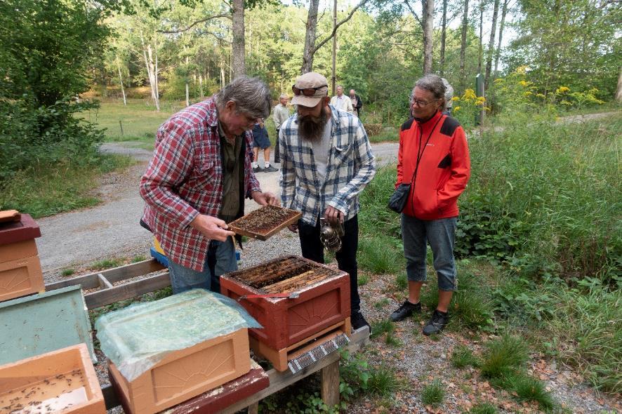 Så här ser planen ut för aktiviteter 2019 Utbildningskvällar under vintern Vårträff på Sundby, datum meddelas senare Augusti