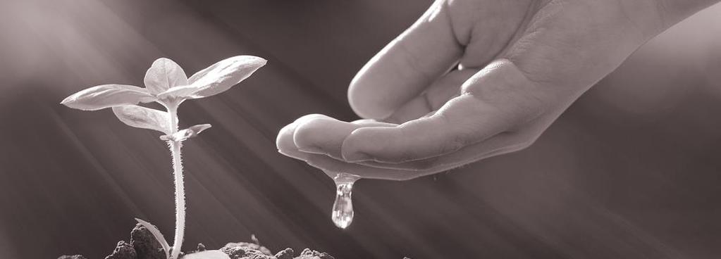 VÄSENTLIGA HÄNDELSER EFTER PERIODENS UTGÅNG BiBBInstruments meddelade den 5 oktober 2017 att Bolagets nyemission tecknades till 407 procent.