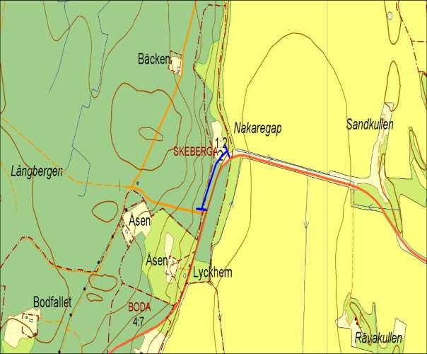 2978, Nakaregap, SKEBERGA Motivering: Sandig vägkant med skavfräken och åkervädd, troligen intressant för insekter.