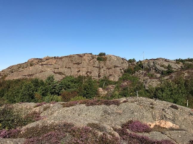 2.1 Delområden Område A I bakkant på område A finns en brant bergsslänt och nedanför denna ett blockområde. Figur 2-2.