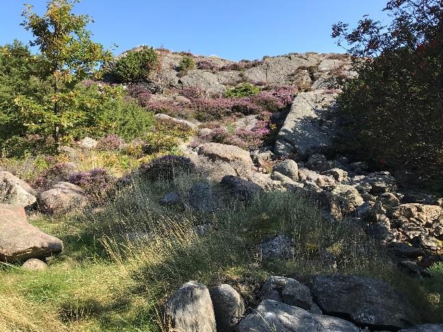 Vid besiktningstillfället (bergteknik) var det ej möjligt att studera bergsväggen på närmare håll på grund av vegetation.