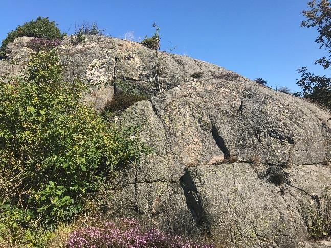 bergsslänt ned mot vägen. Figur 2-5.