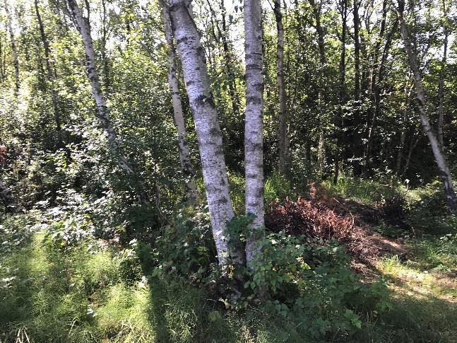 Området är utbyggt på 60- och 70-talet, med om- och tillbyggnader under senare år. 2.