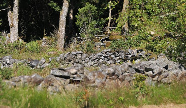 De omkringliggande sluttande sandmarkerna med omgivande berg har varit torra och skyddade platser att bo på redan under stenåldern.