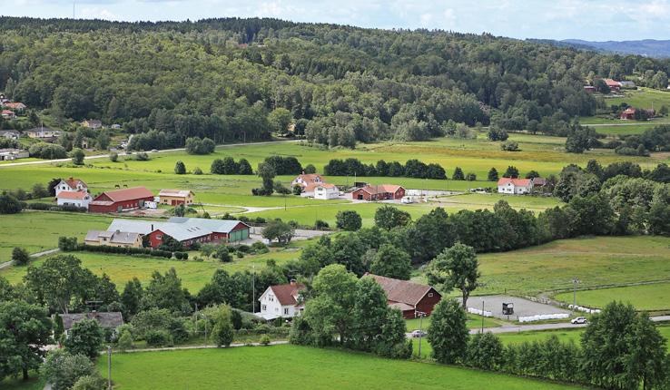 Förhistoriska gravar, en fornborg och spår från forntida åkerbruk vittnar om att människor har bott här i flera tusen år.